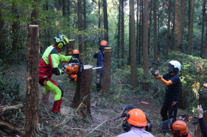 実習風景3（11月14日森づくり活動塾）